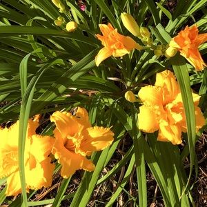 Make me an offer!! 💐💐💐